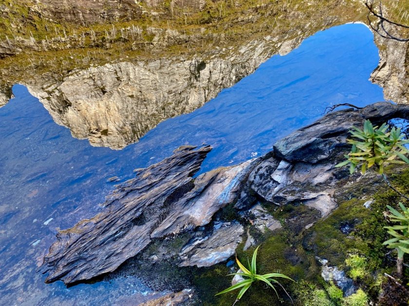 lake tahune reflections of frenchmans cap peter tuft